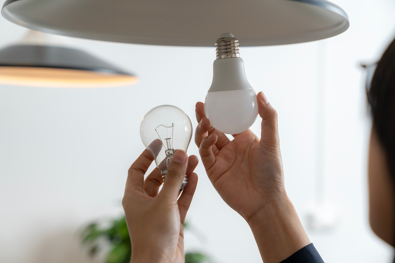 A person compares an LED bulb to an incandescent bulb beneath a ceiling lamp.