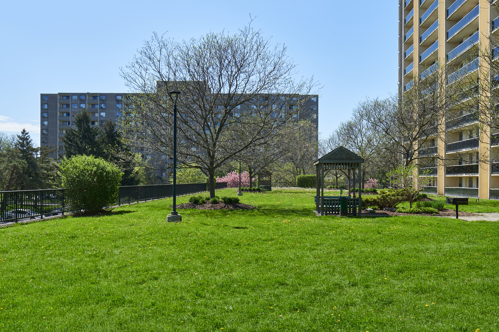 A lush green courtyard with a gazebo and spring trees in Cherryhill Village.