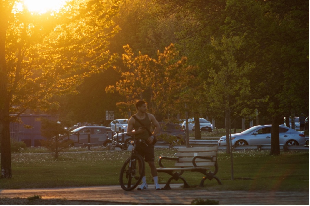 Man standing with his bike beside a park bench at sunset, surrounded by trees.