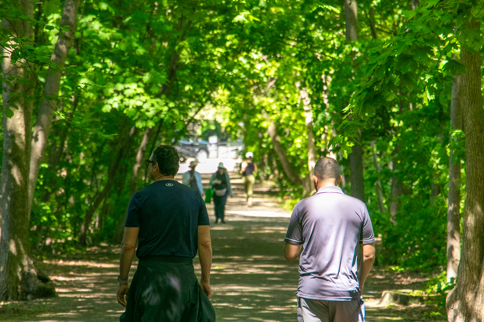 Walkers proceed along summery pathway shaded by bright green leaf canopy.