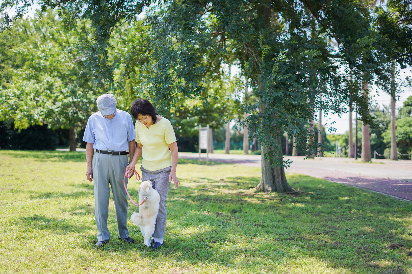 Couple walks their small dog through a tree lined park.