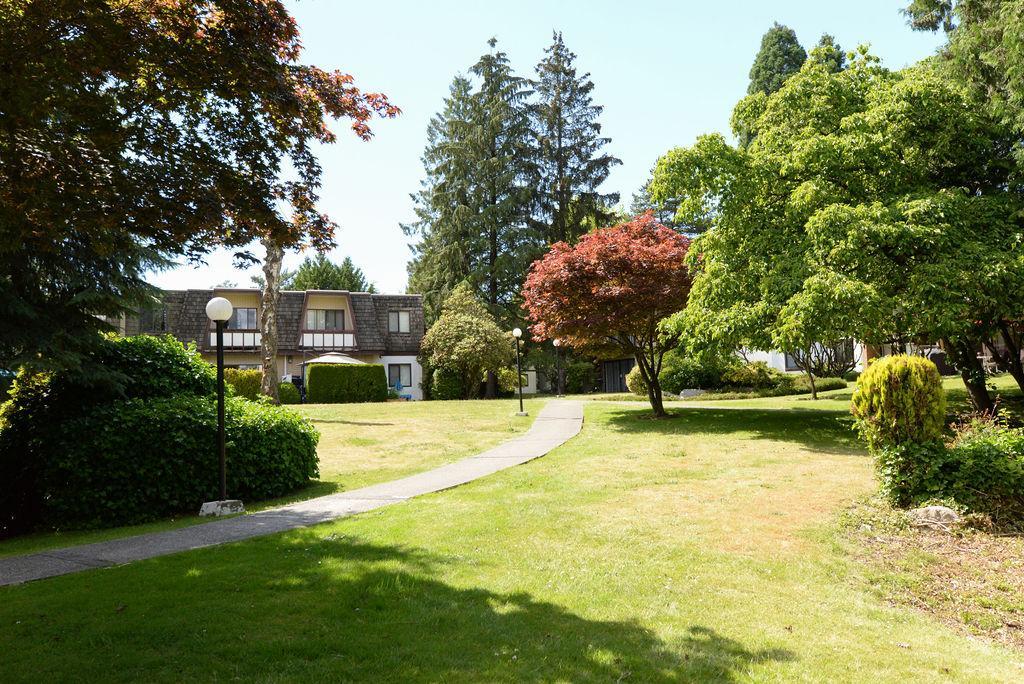 Langara Gardens - Photo 4