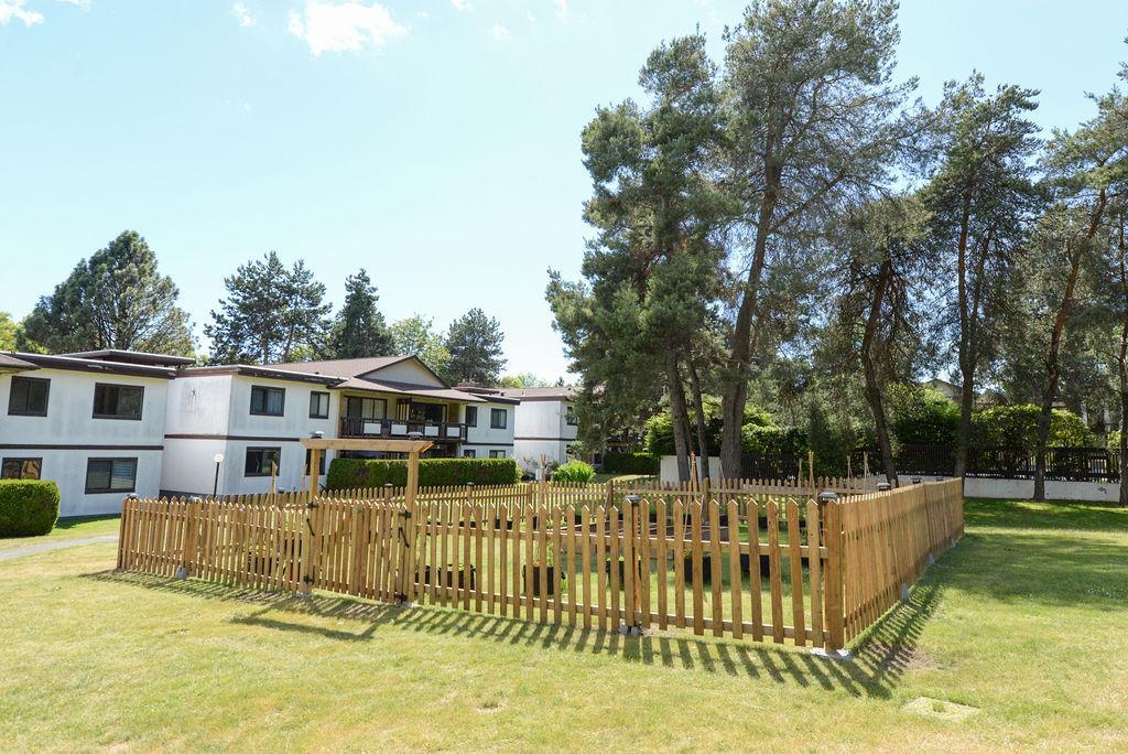 Langara Gardens - Photo 24