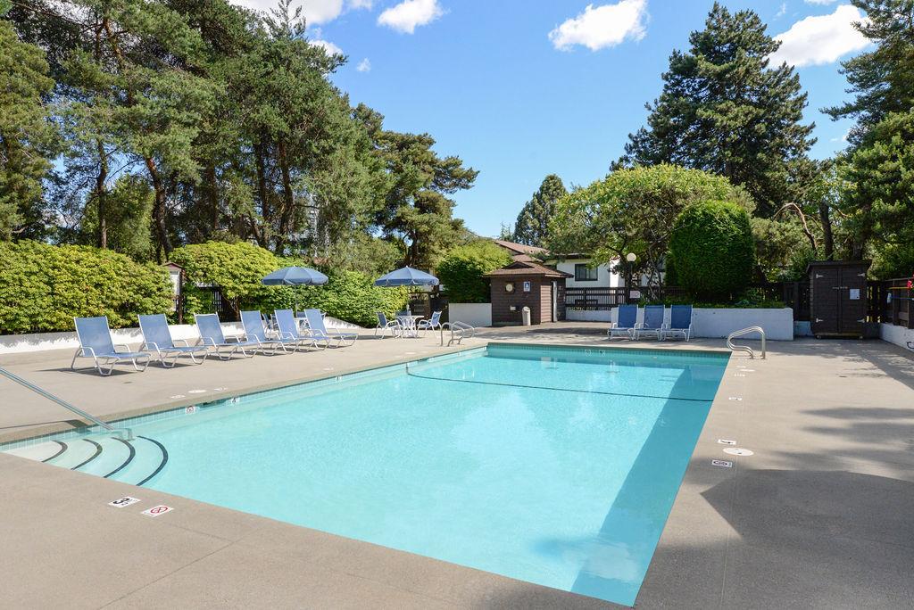 Langara Gardens - Photo 37