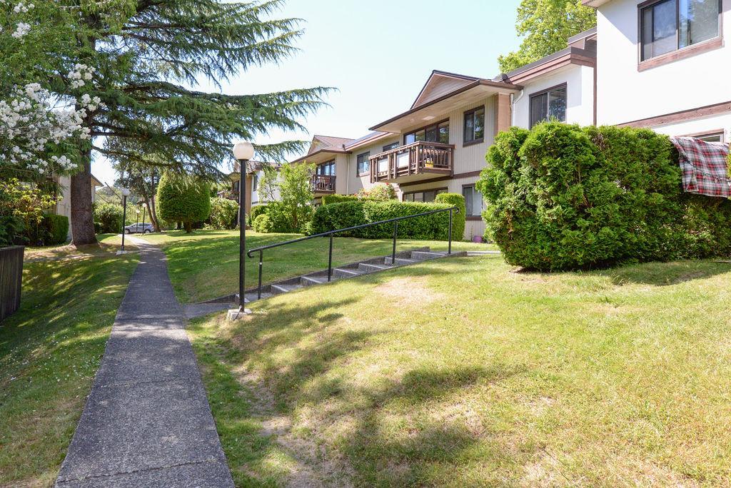 Langara Gardens - Photo 44