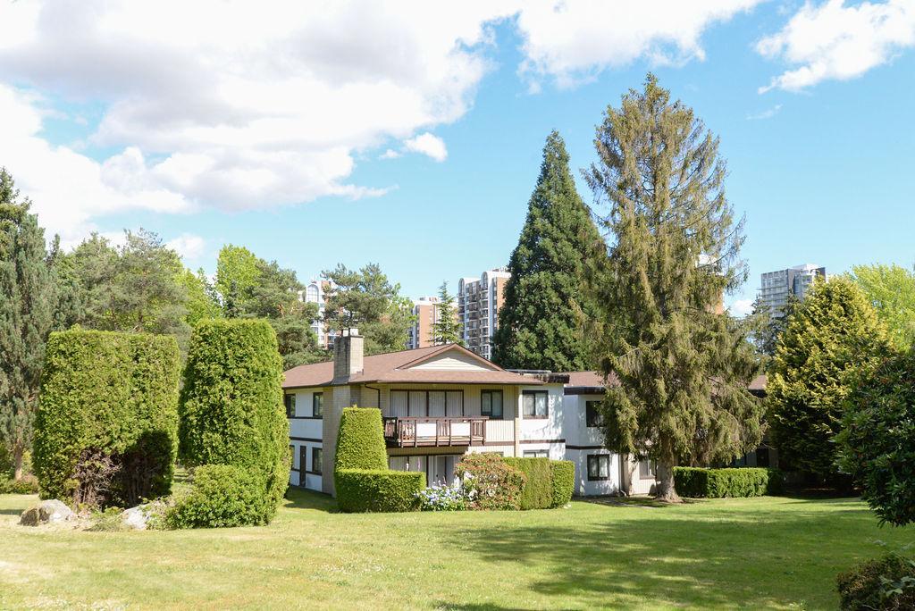 Langara Gardens - Photo 51