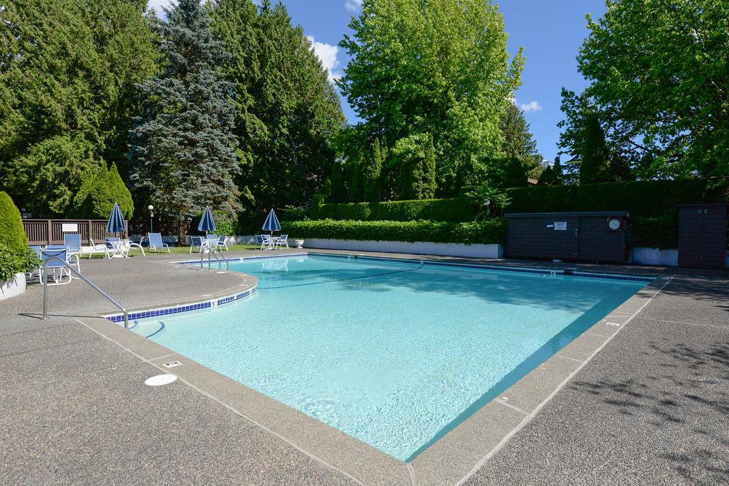 Langara Gardens - Photo 86
