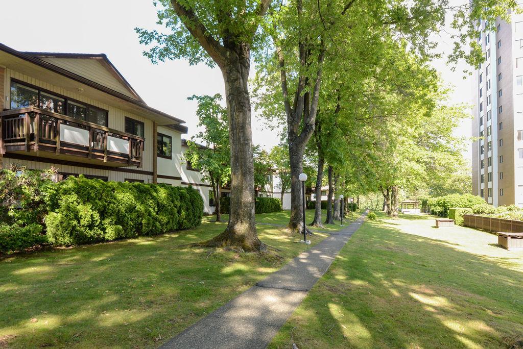 Langara Gardens - Photo 93