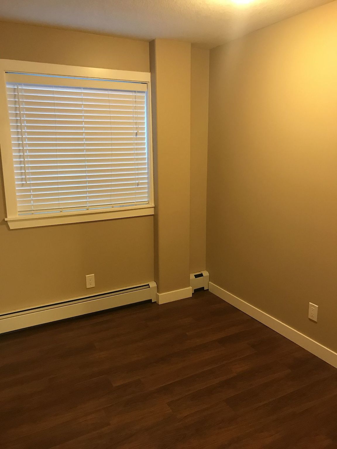 Sunshine Terrace in Mission!  - Photo 15