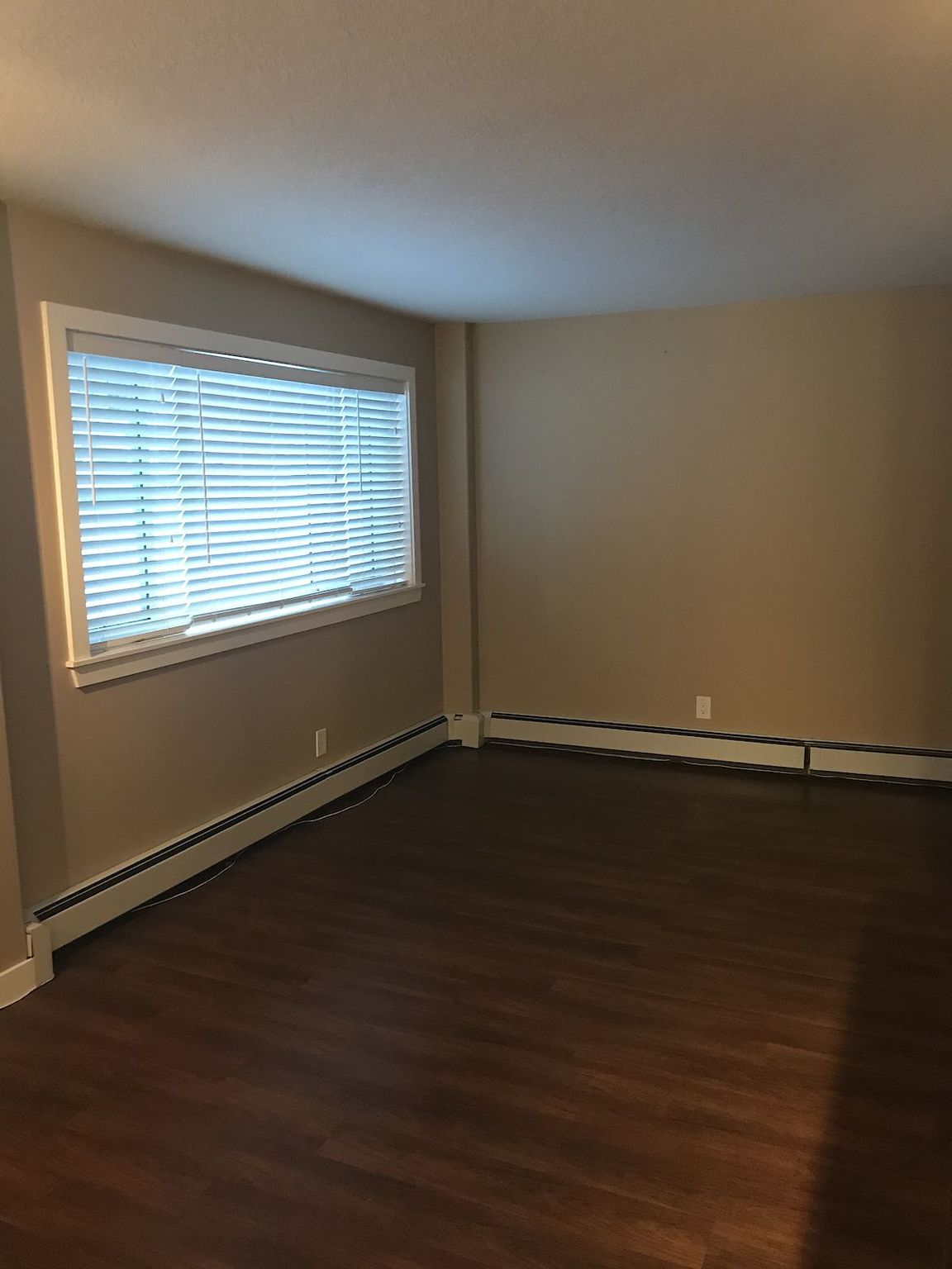 Sunshine Terrace in Mission!  - Photo 16