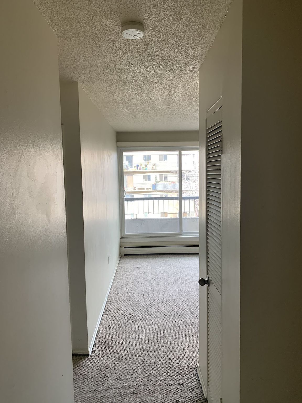 Sunshine Terrace in Mission!  - Photo 18