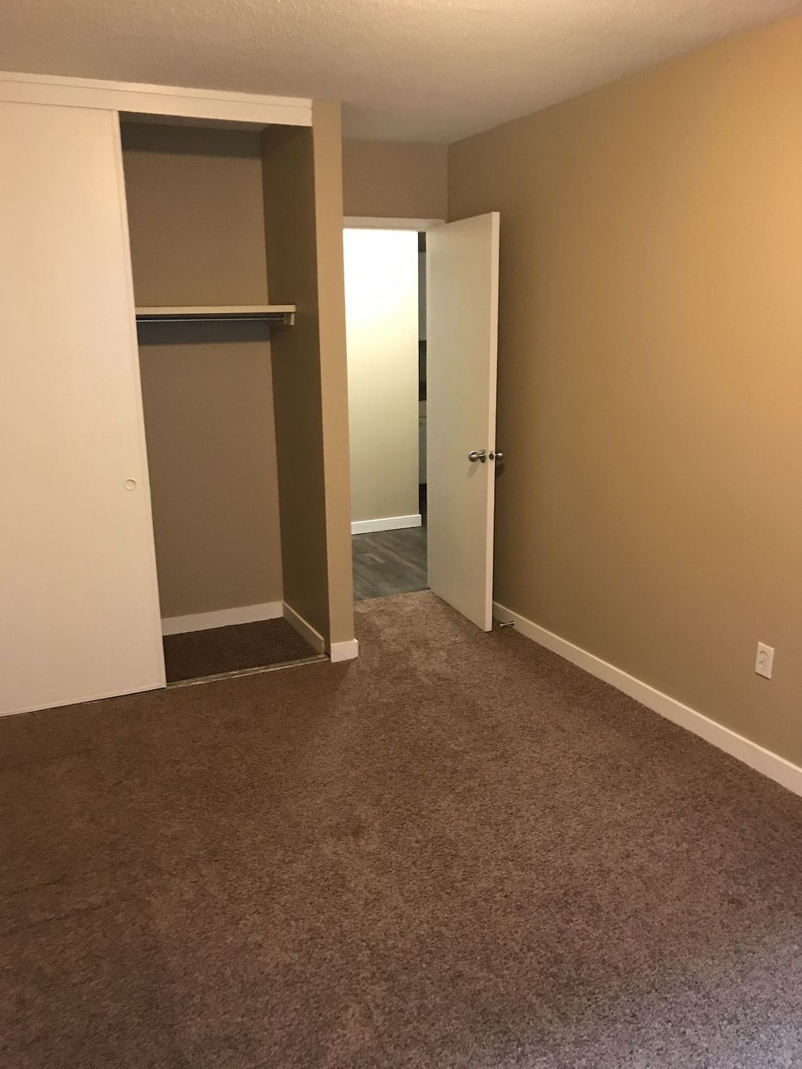 Sunshine Terrace in Mission!  - Photo 19