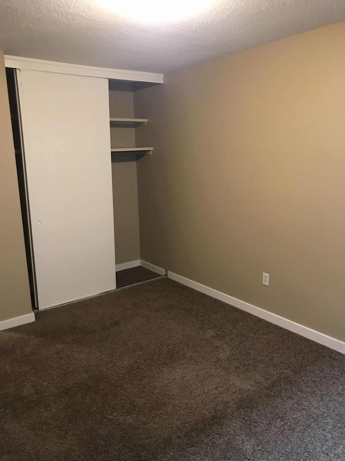 Sunshine Terrace in Mission!  - Photo 20