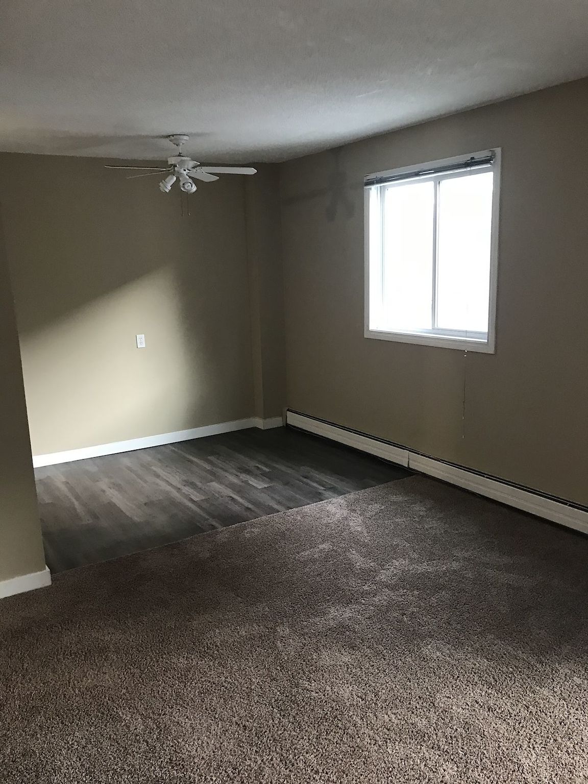 Sunshine Terrace in Mission!  - Photo 21