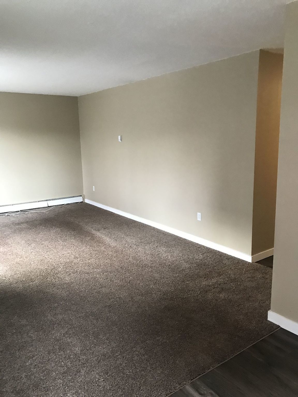 Sunshine Terrace in Mission!  - Photo 8
