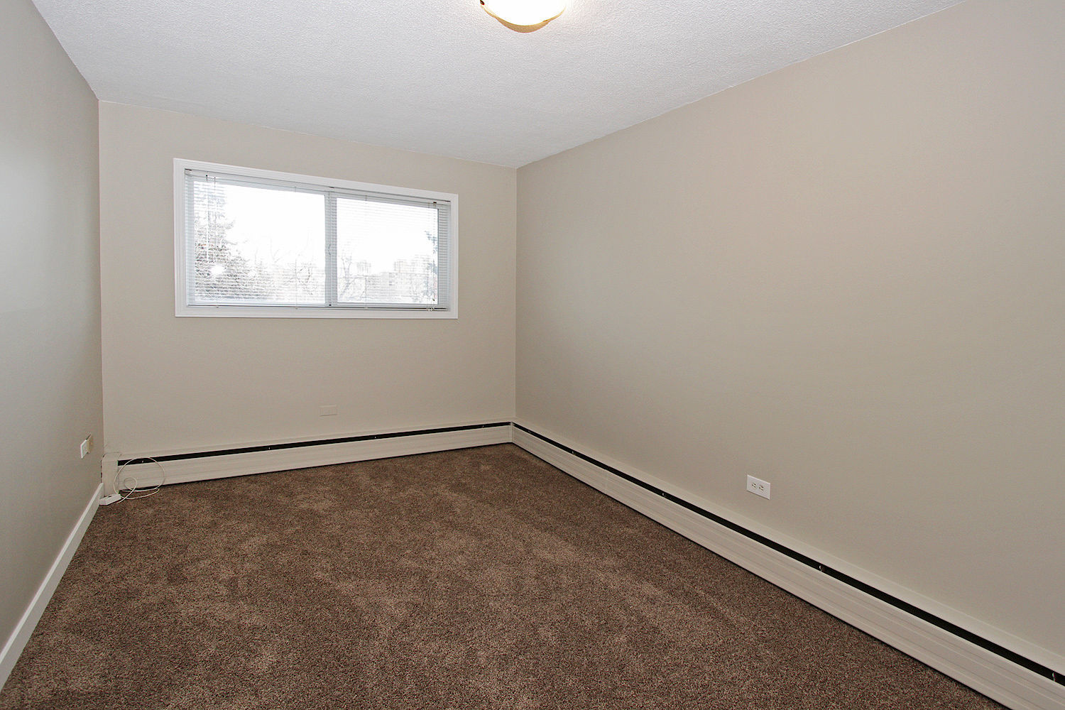 Cameron Arms in Lower Mount Royal - Free Early Move In By August 1st - Photo 5