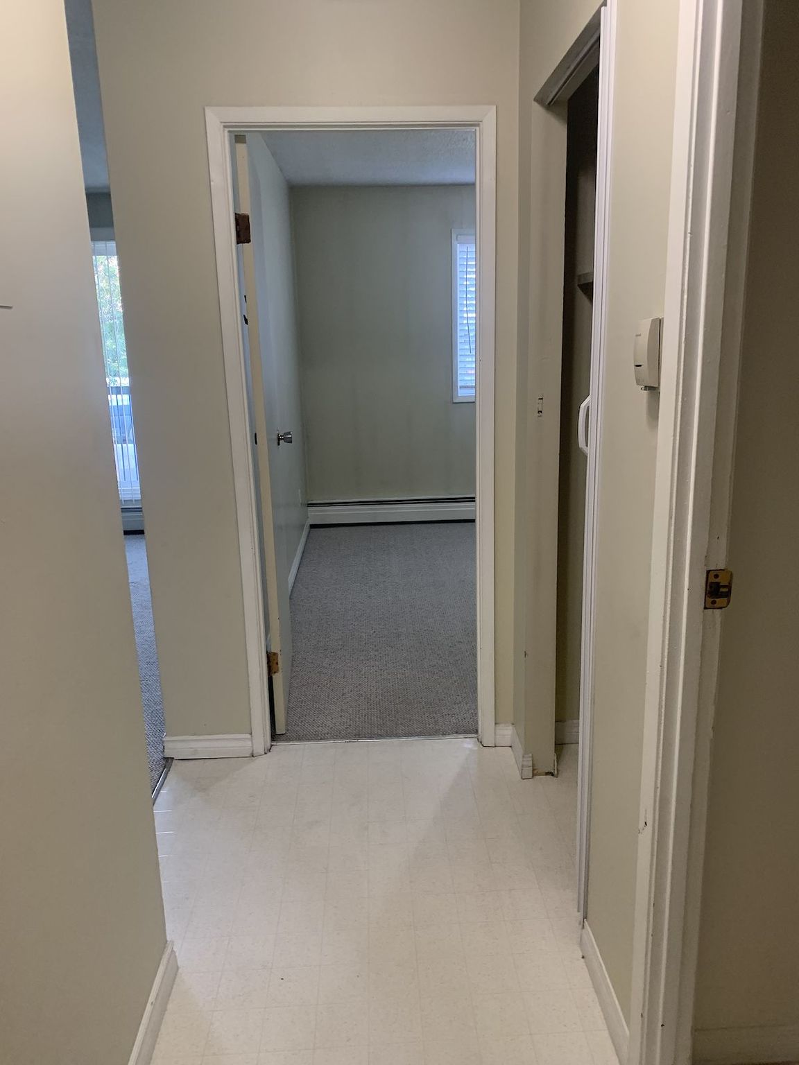 Belara Apartments in Sunnyside! - Photo 4