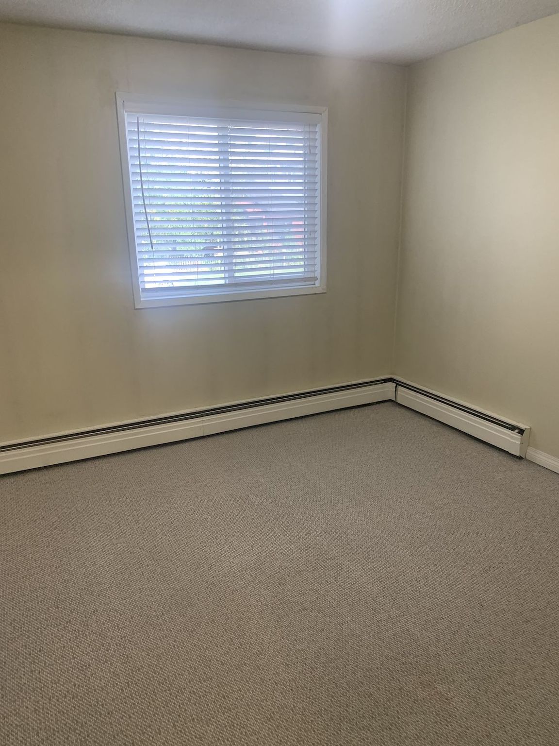 Belara Apartments in Sunnyside! - Photo 5