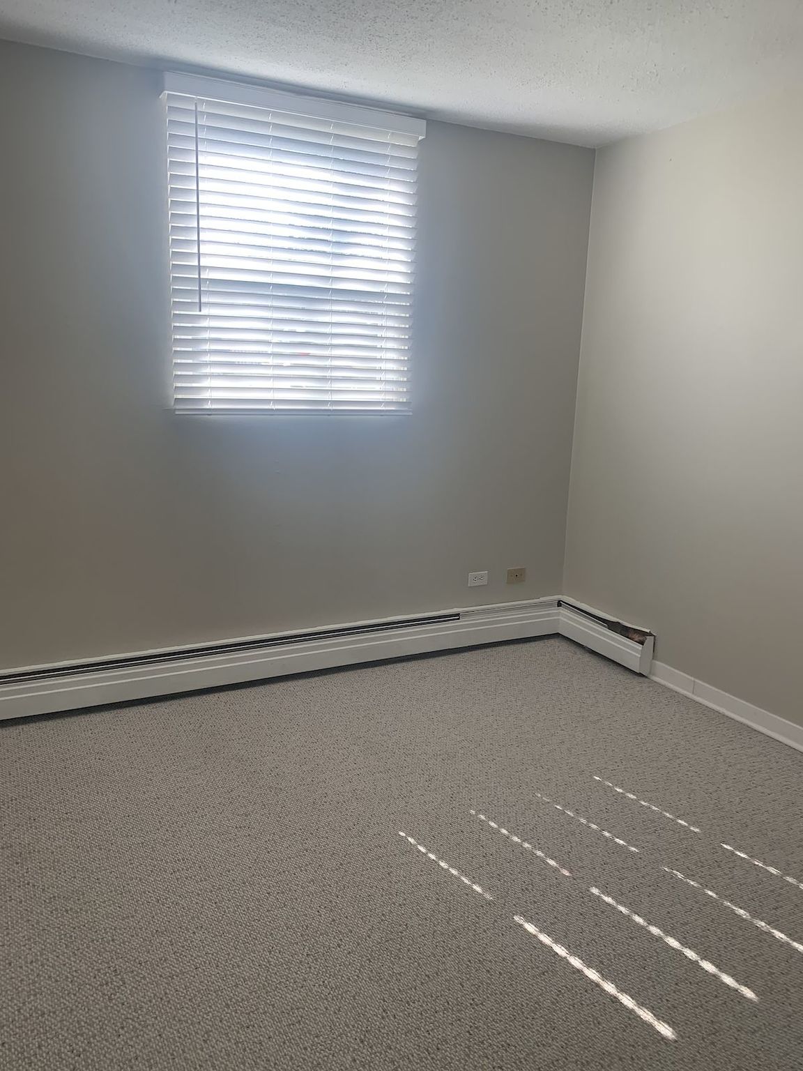 Belara Apartments in Sunnyside! - Photo 26