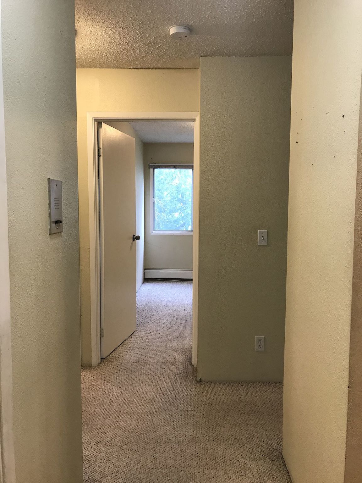 Sunnybrae Manor - Free Early Move In before August 1st - Photo 13
