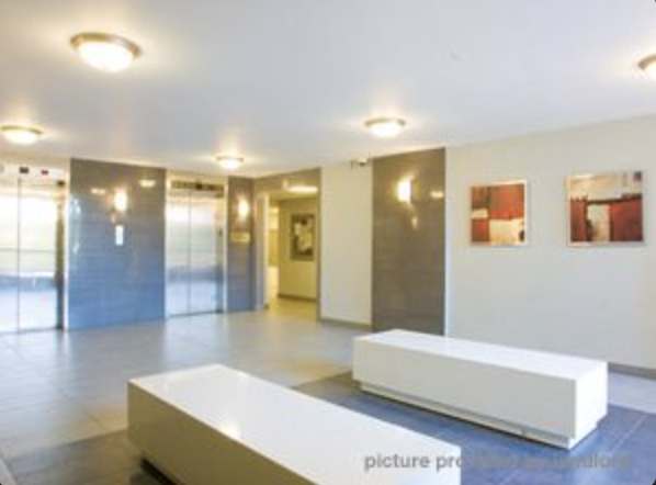  7, 9 & 11 Crescent Pl - Photo 17