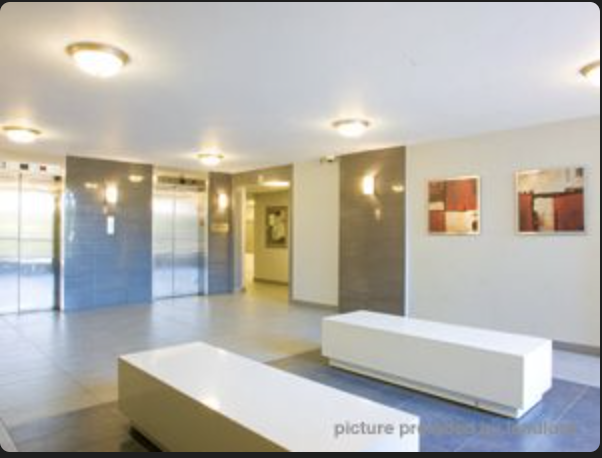  7, 9 & 11 Crescent Pl - Photo 9