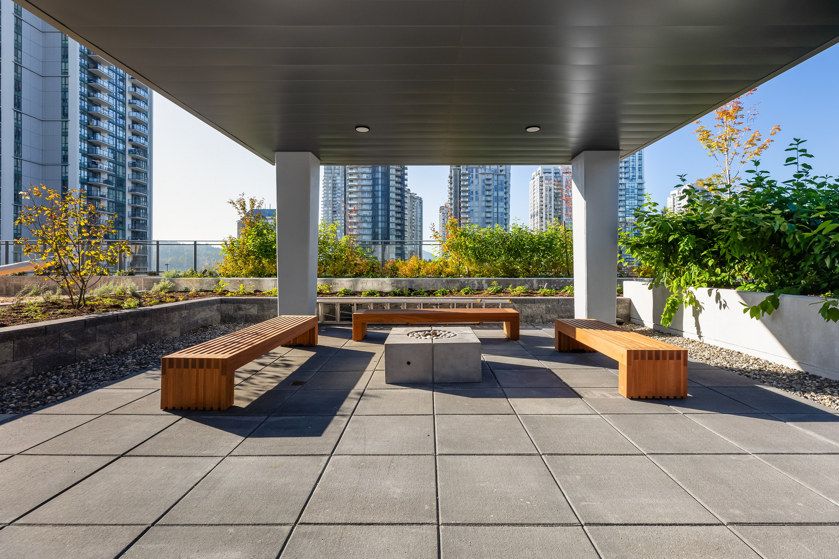 Sophora at the Park Rental Collection - Photo 139