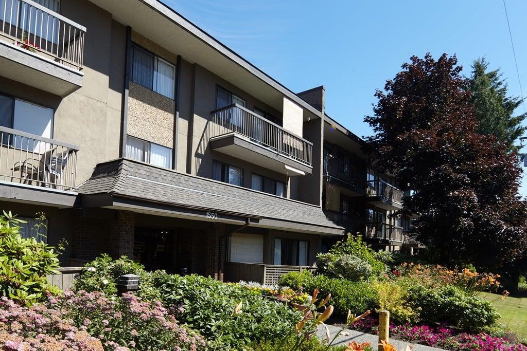 Blackwood Apartments - Photo 6