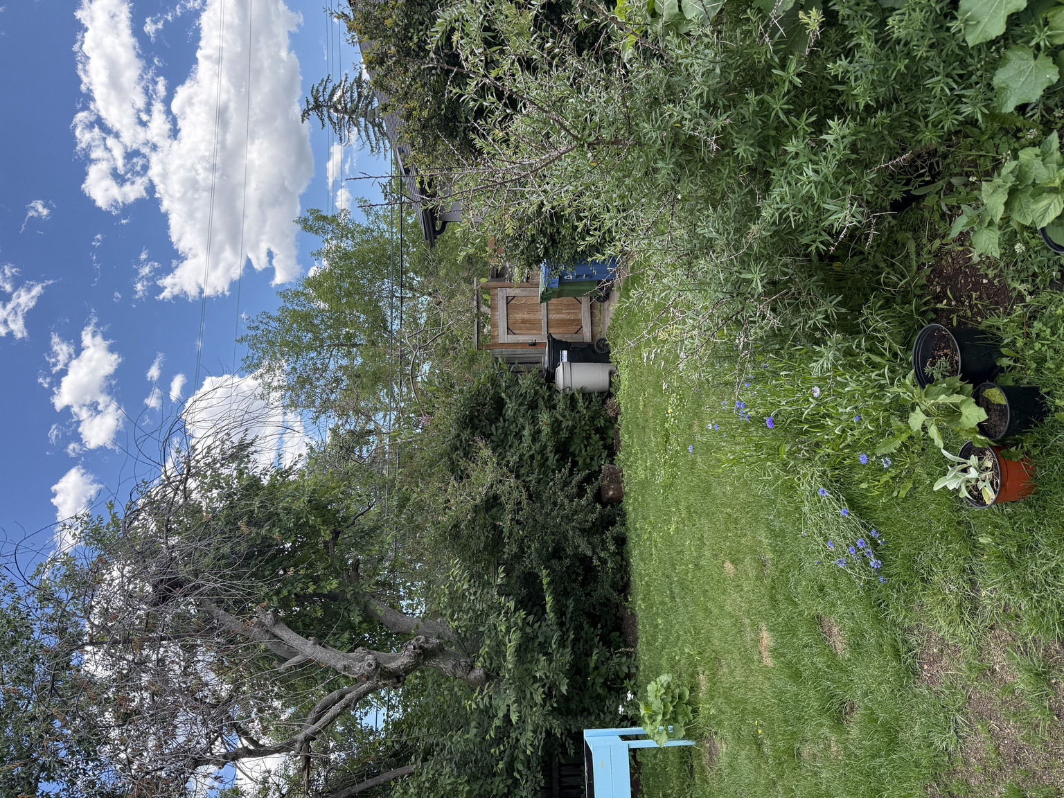 7212 5 Street Southwest - Photo 3