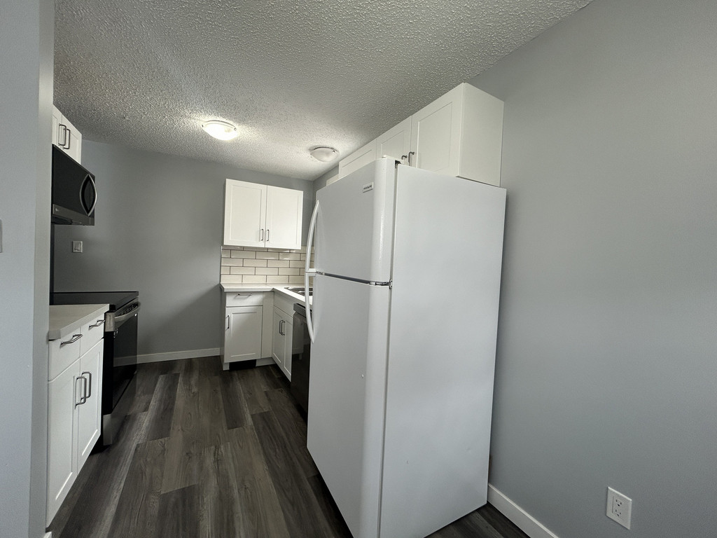 9319B 105 Avenue - Lower 3 Bedroom Duplex