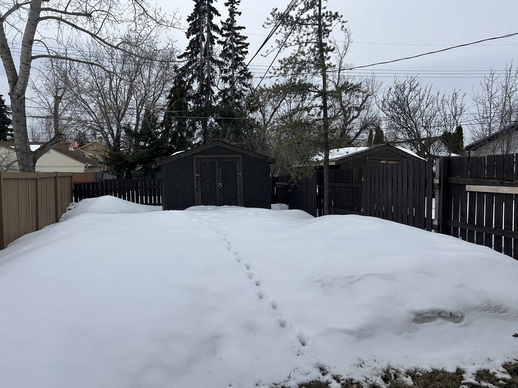 9319B 105 Avenue - Lower 3 Bedroom Duplex