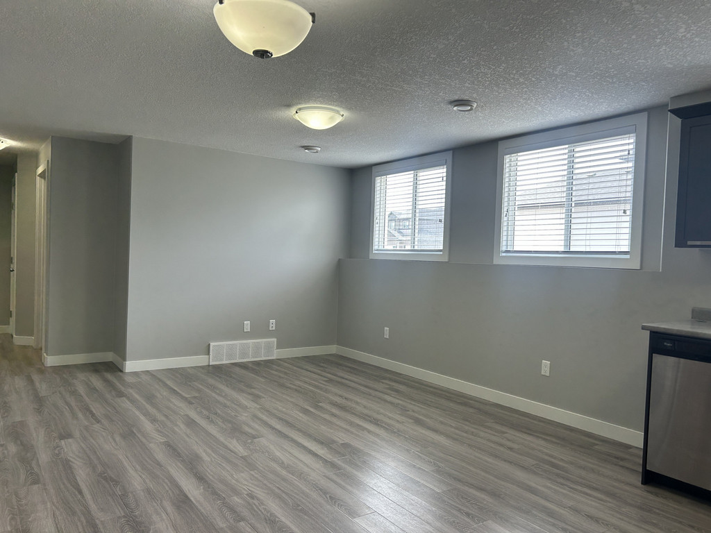 10486A 131 Avenue - Lower Duplex