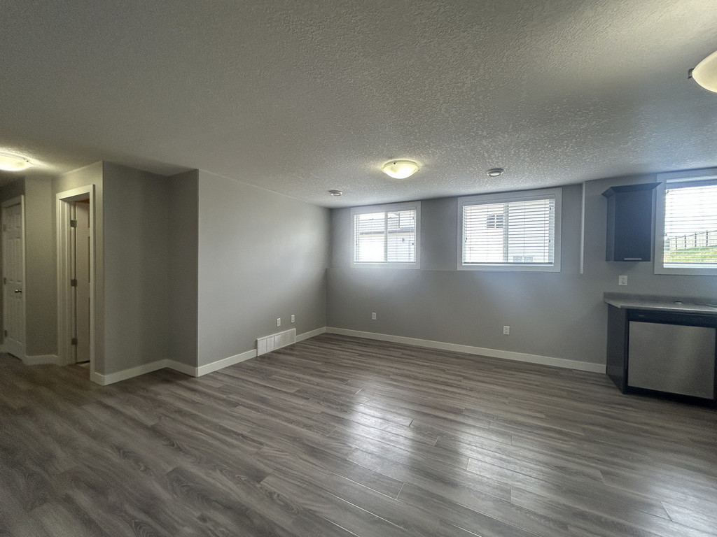 10486A 131 Avenue - Lower Duplex