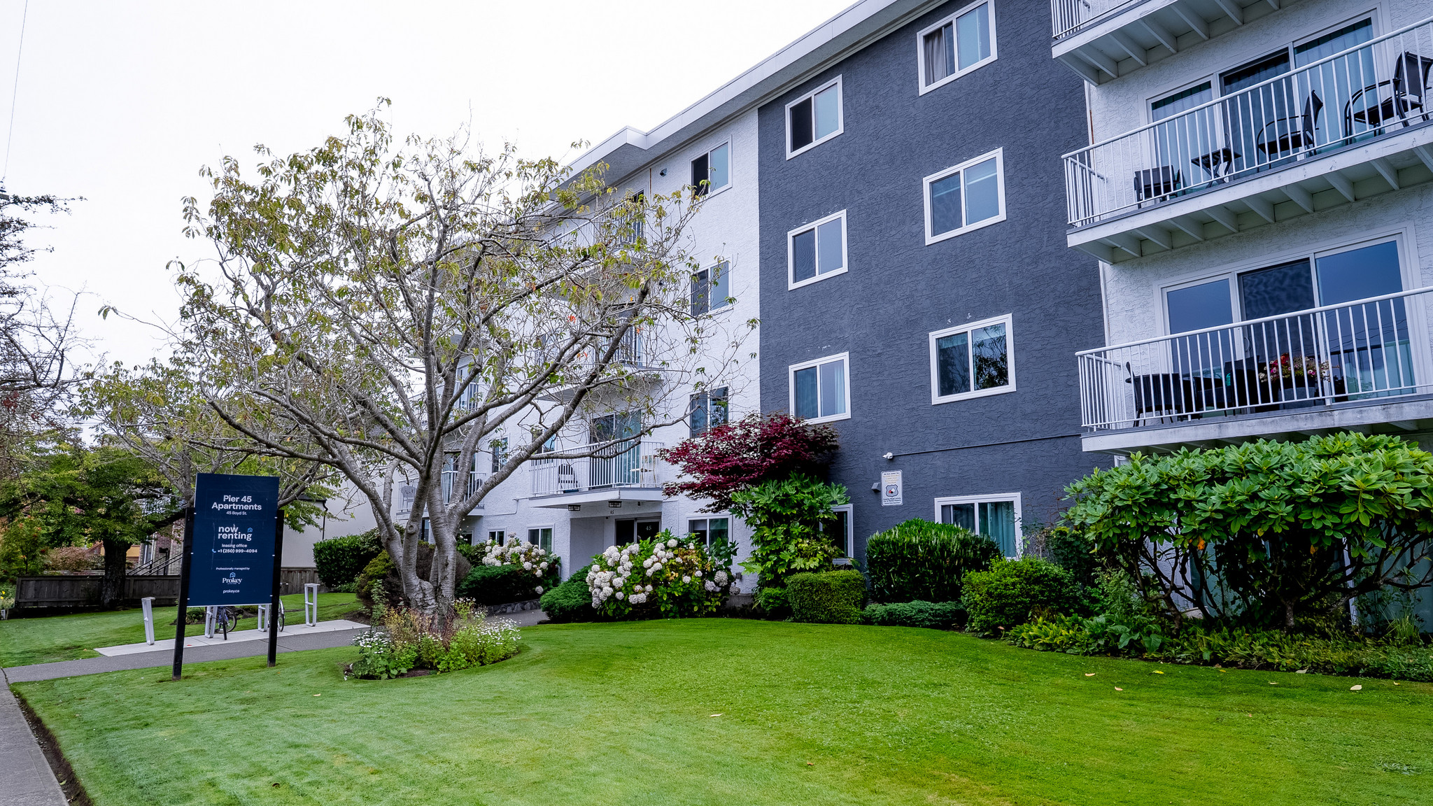 Pier 45 Apartments