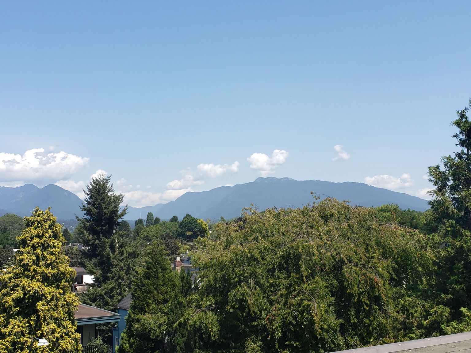 The Berkeley - Photo 17