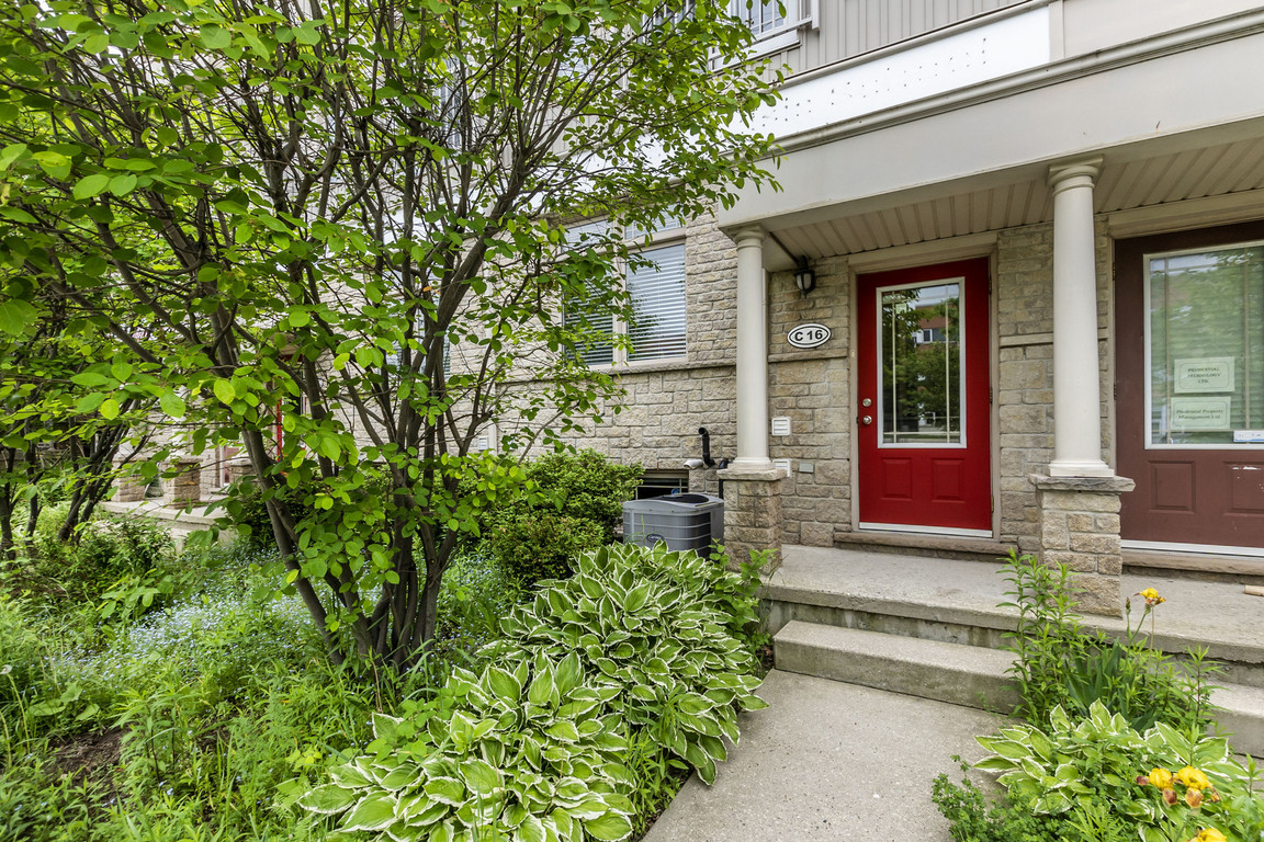 619 Wild Ginger Avenue, C16