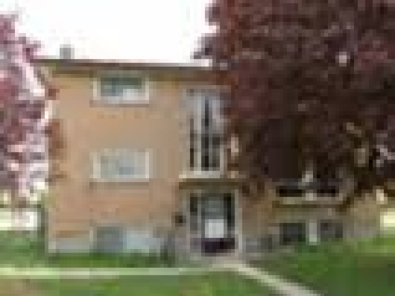 374 Holly Sreet, Waterloo, ON N2L 4G4 — photo 1