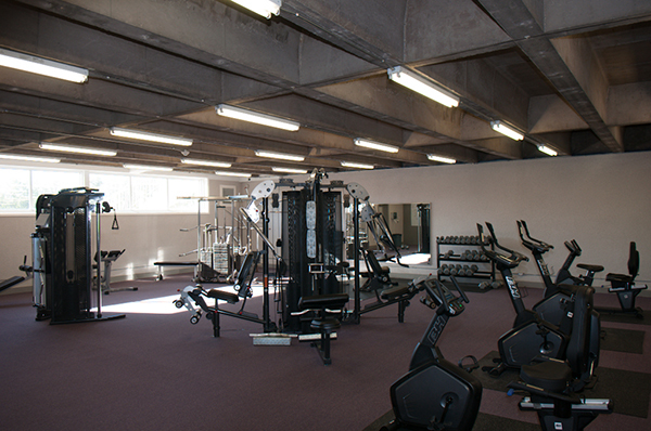 Chelsea Place  - Photo 13