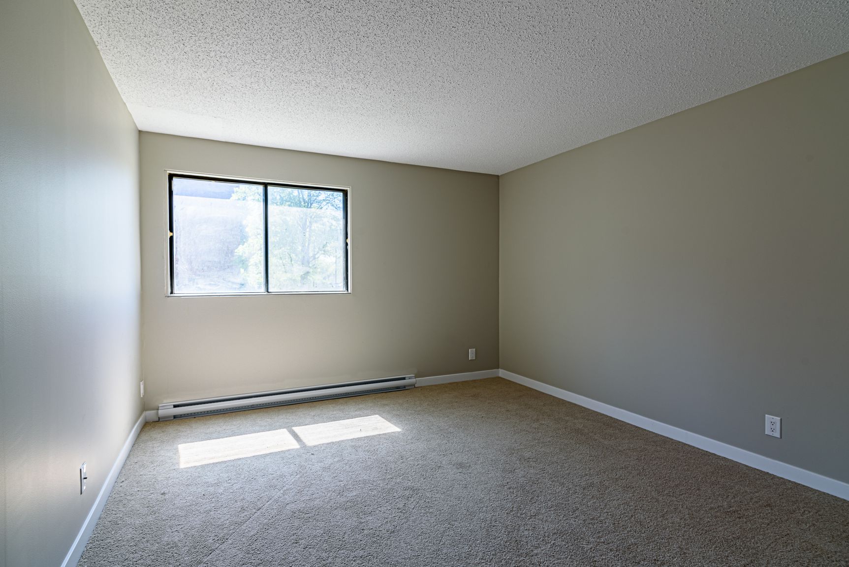Meadowlark Green - Photo 6