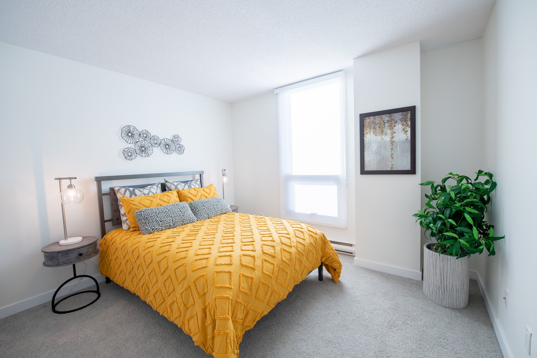 Broadview Manor - Photo 14