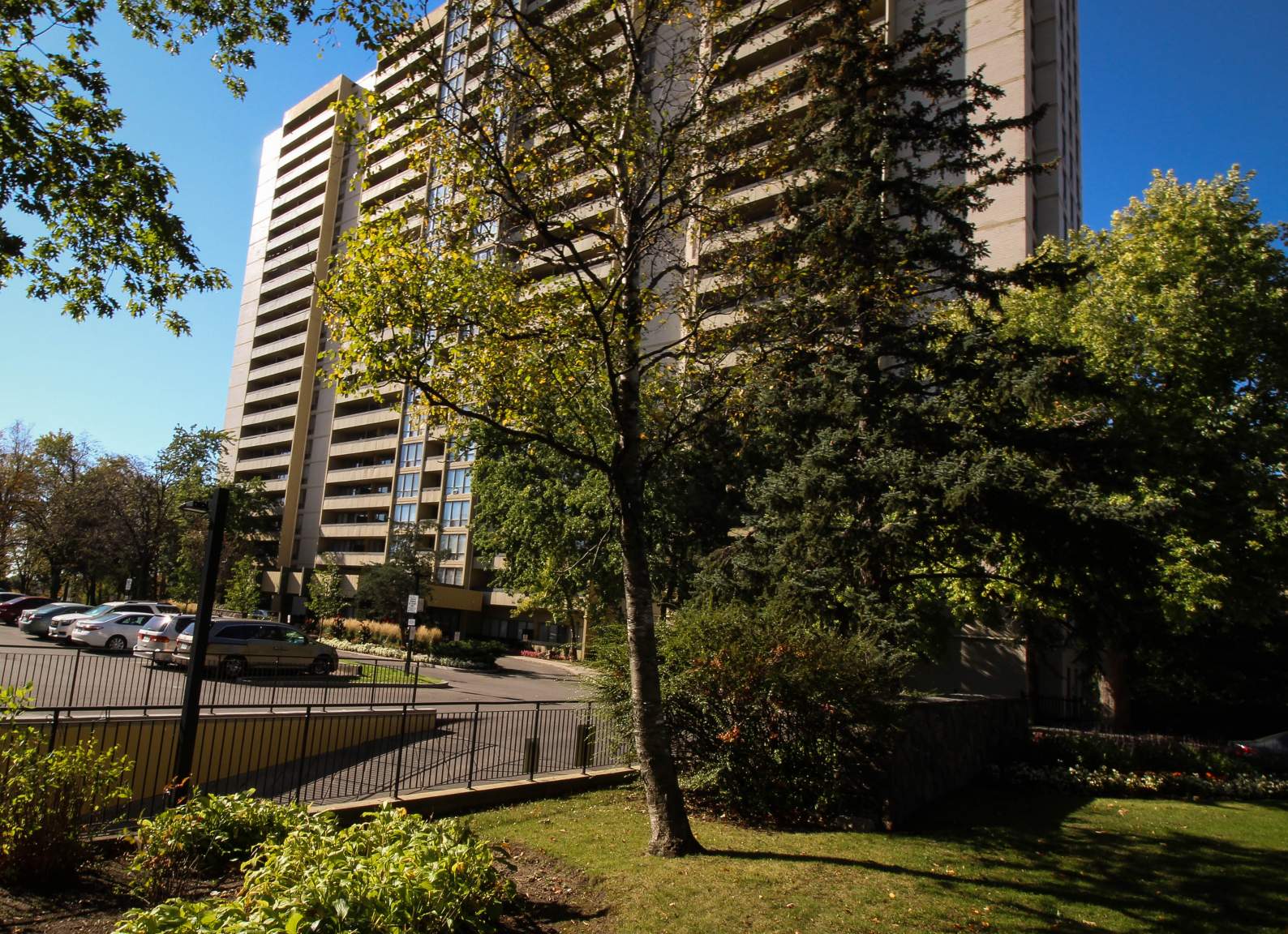 Maplegrove Apartments - Photo 4