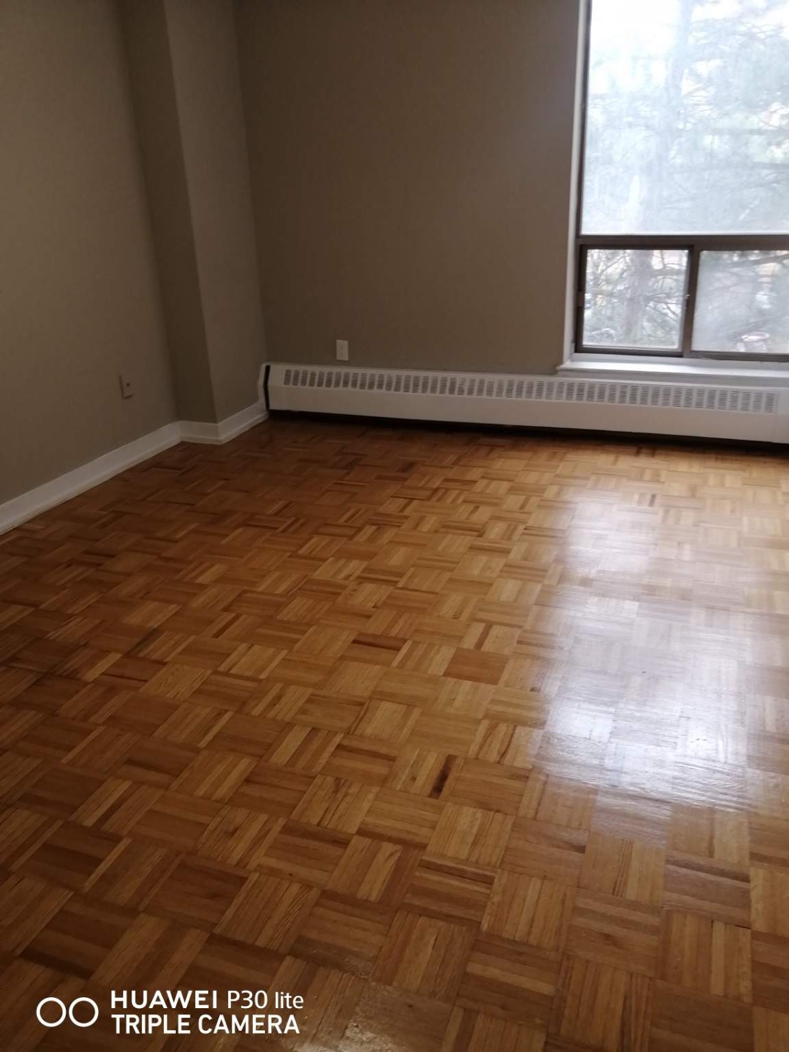 Maplegrove Apartments - Photo 11