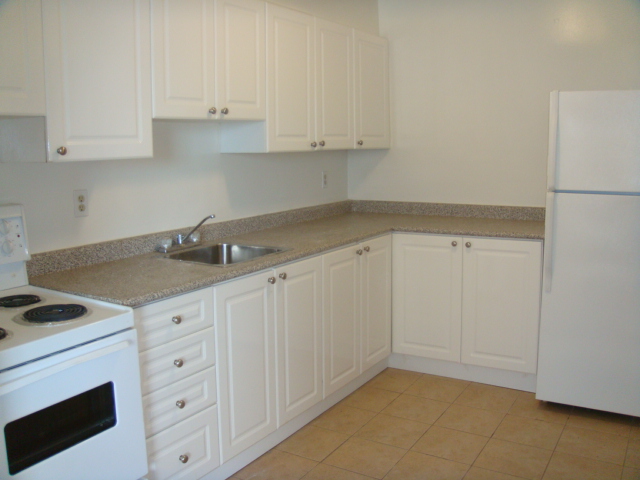 535 North Service Road, Mississauga, ON L5A 1B4 — photo 3
