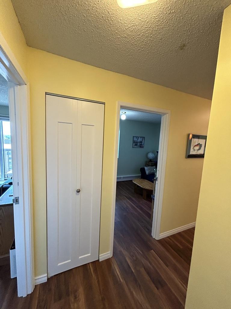 2206 - 311 6th Avenue North, Saskatoon Approx. 978 sq. ft. Furnished Condo | 2 Bedrooms | 1 Bathroom - Photo 29
