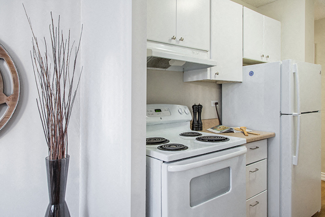 MacDonald Estates - Photo 8