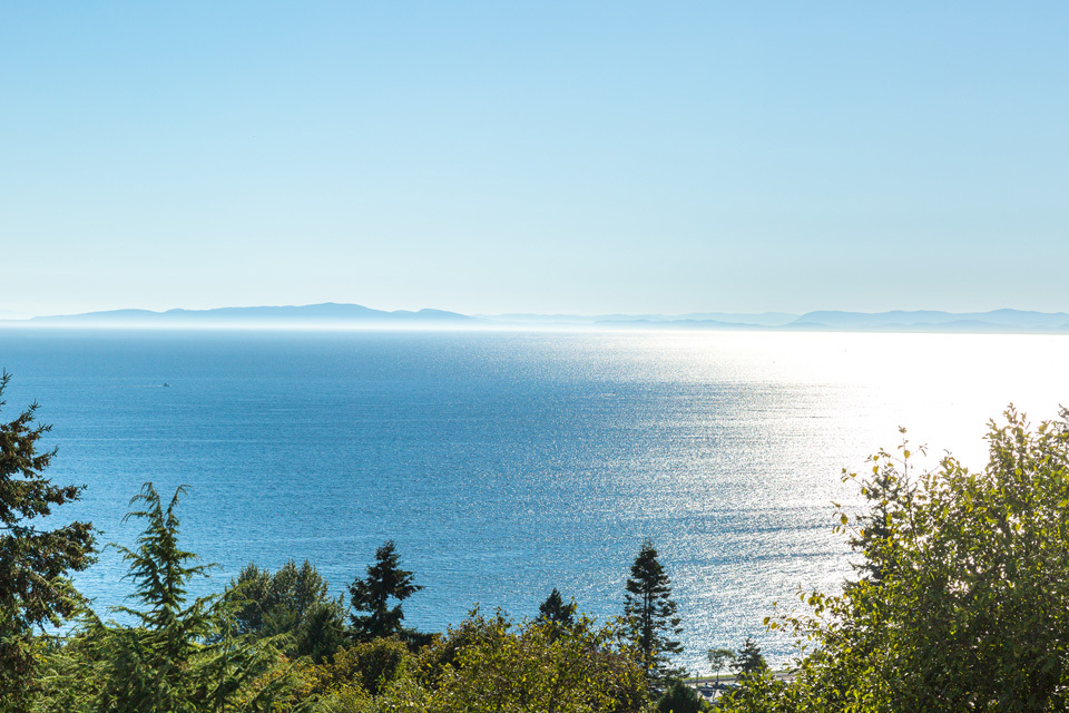 Bayview Gardens - Photo 11