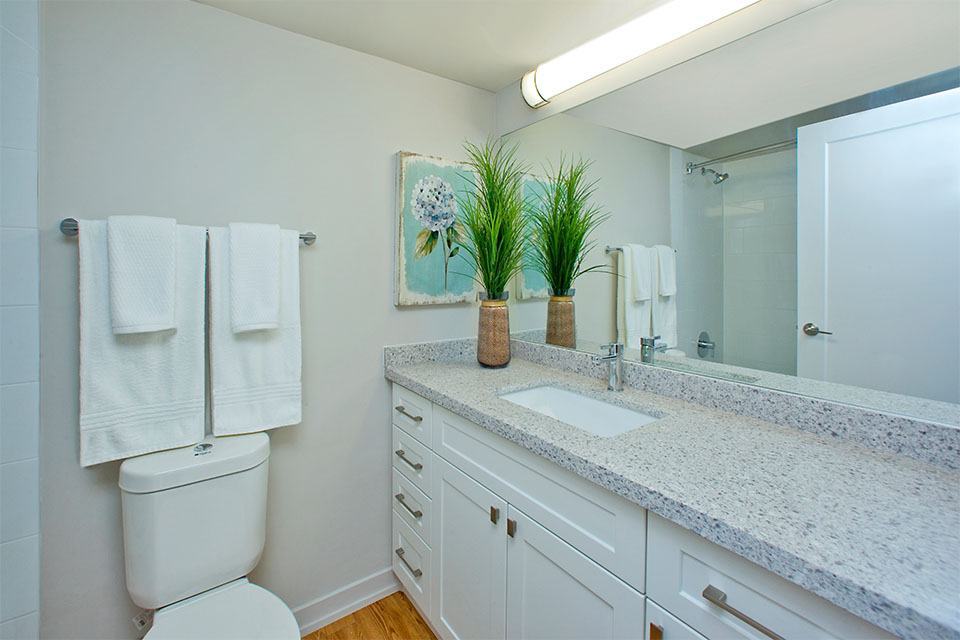 Royal Rose Apartments - Photo 12