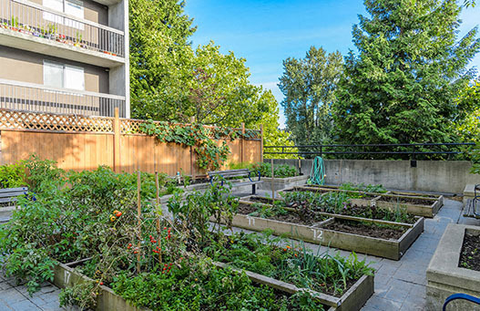 Surrey Village - Photo 23