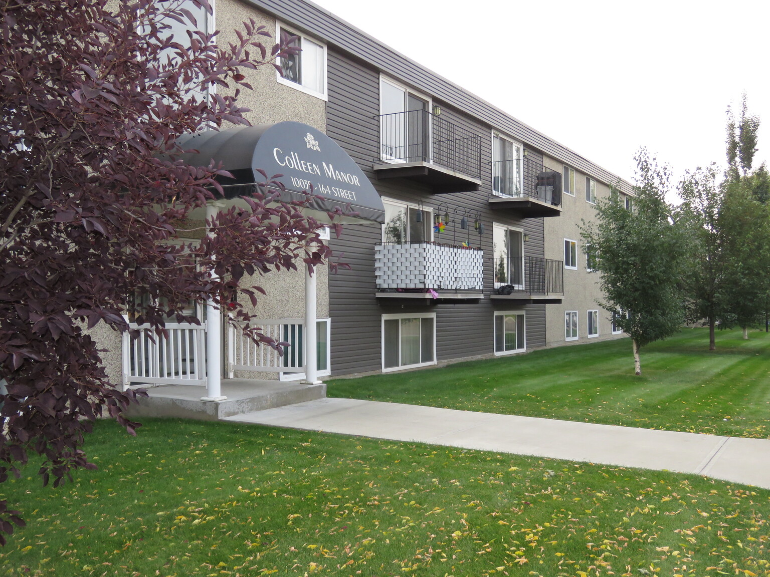 (PN 0872) FREE RENT! Spacious 2 bed 1 bath! Upgraded cabinets and countertops! Balcony! - Photo 24