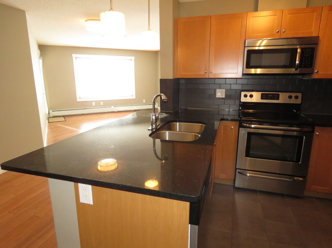 770 2018-02-21 011_02272018 PN0770 Luxurious 2 Bedroom